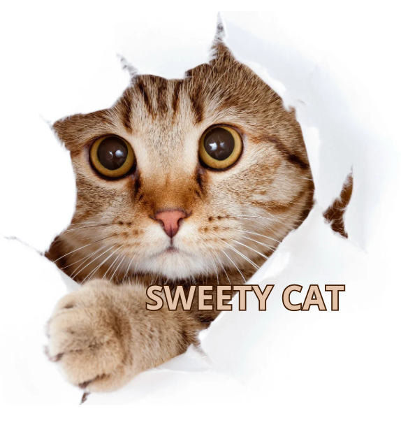 sweety cat 